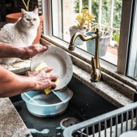 愛猫の『食器をキレイにする』4つの方法　人間用の洗剤・漂白剤は使って大丈夫？