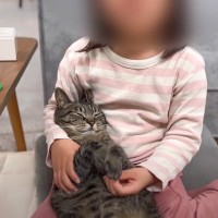 猫を赤ちゃん扱いする5歳の娘→本当の年齢を教えてみた結果…事実を知ったときの『ピュアな反応』が可愛すぎると15万再生「ほっこり」「癒された」