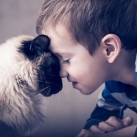 愛猫が『頭突き』を繰り出す3つのワケ　知ると嬉しいこの行為、やっぱり頭突きをお返しすべき？