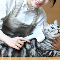 猫の『毛玉による嘔吐』を減らすためにできること3選　体への負担を減らすための対策とは
