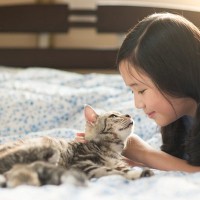 『人にあって猫にはない感情』3つ　罪悪感や羞恥心…猫と人の心の動きはここが違う！