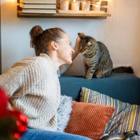 猫に好かれる『かわいがり方』とは？愛され人がやっている、猫たらしなテクニック3選