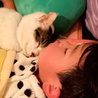 寝室にて"大渋滞"が発生してる→ベッドの上を見てみると、猫と子どもが…あまりにも尊すぎる光景が53万表示「語彙力なくした」「絶大な信頼感」