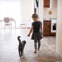 愛猫があなたの『あとをついてまわる』ときの気持ち4選　無視せず対応したほうがいい？