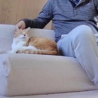 1泊2日の旅行に行った家族→猫が『父とふたりきり』で留守番したら…「父さんの頑張りに涙が」「大切に思っているのがわかる」と51万再生