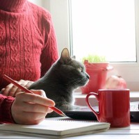 猫愛が深すぎる女性がペットシッターに渡した、愛猫の「細かすぎる指示書」米国