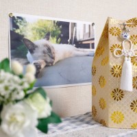 亡くなった愛猫を弔う『葬儀』業者を選ぶ際のポイント5選　慌てて探して失敗しないためのアドバイス