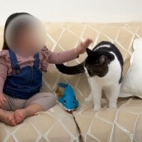 ２歳の女の子→『人懐っこい猫がいるお家』に遊びにきた結果…思わずニヤける『微笑ましい光景』7万再生「可愛すぎるｗ」「笑顔止まらん」