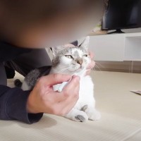 不器用なパパが『猫の歯磨き』に挑戦した結果…想像以上の"結末"に反響続々「ママと何が違うんだろうｗ」「素晴らしい努力」の声