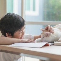 猫は『相手によって態度をコロコロ変える』4つの理由　好きな人、苦手な人…家族でもひとりひとり違う？