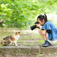 猫が『カメラを向けると顔を背ける』のはなぜ？カメラを嫌がるつの理由と、無理のない撮影方法
