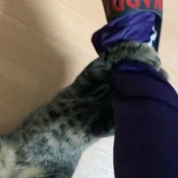 愛猫をちょっぴり驚かしてみたら…想像を遥かに超える『衝撃の仕返し方法』に4万2000いいね「倍返しだｗ」「攻撃方法がプロｗ」