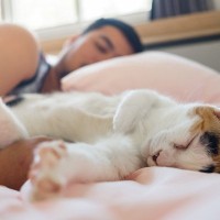 猫があなたに『心を許しきっている』3つのサイン　良好な関係をキープするために気をつけるべきことも