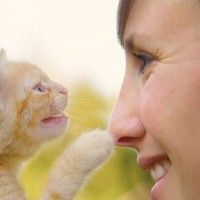 愛猫がチョイチョイと『顔を触ってくる』ときの心理5選　どうリアクションすると喜ぶ？