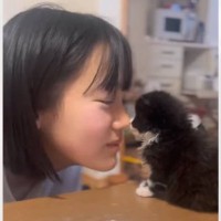 子猫が可愛すぎて…女の子が思わず『食べるフリ』をした結果→97万再生突破の尊いやり取りの様子に「なんて平和」「天使と天使やん」の声