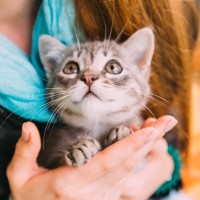 猫が飼い主さんの『体調不良を察知する』と思われている4つの理由　気遣ってくれる仕草、本当の気持ちは？