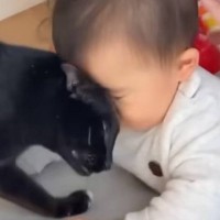 赤ちゃんのことが大好きな猫→『初めて立った瞬間』を見た結果…まさかの光景が素敵すぎると12万再生「熱烈祝福」「愛が大きくて羨ましい」