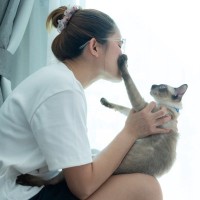 愛猫に『抱っこ好き』になってもらうための3つのアイデア　抱っこを嫌がる子でも慣れるもの？