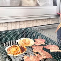 庭でBBQをしていた猫の飼い主さん→ふと視線を感じて家の『窓』を見てみると……「すごい見てるｗ」「かわいい参加者」と44万表示の反響