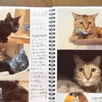 スタッフが、保護猫１匹１匹の様子を“手作り日記”に書いたら…『あまりにも尊すぎる思い出』に「感謝と尊敬」「愛情をたくさん感じる」の声