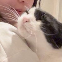 飼い主さん帰宅→抱っこされた猫の『おてて』を見てみると……キュンとする瞬間が5万7000いいね「赤ちゃんすぎてかわいい」「いいお顔」