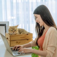 猫は『今座っている位置』によっても心が読める！3つの位置別に見る猫のキモチ