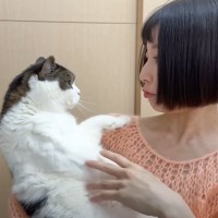 髪の毛を短くして帰ってきたら、猫が……『文句が止まらない光景』が笑えると13万再生「めちゃくちゃ言ってるｗ」「必死の顔がかわいいｗ」