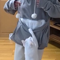 超甘えん坊の猫のため、『カンガルーのように抱っこできる服』を購入→家族みんなが着てみたら…『あまりにも癒やされる光景』が72万再生