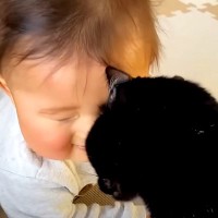 ハイハイの練習がうまくいかない赤ちゃん→同居猫がやってきて…まさかの『本当の兄のような行動』に感動「本当に優しい」「かっこいいな」