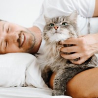 相手が『猫好きかどうか』はここを見ればわかる！猫仲間を見つけ出すポイント7選