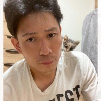 飼い主さんの肩に乗っている小さな子猫→お迎えから"4ヶ月"が経過すると…微笑ましい成長の様子が6万表示「愛の勲章」「好かれてるねｗ」