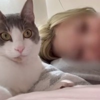 愛猫とまったりしていただけなのに…思わず『なんで？』と声がでた『まさかの瞬間』が52万再生「本当になんでｗｗ」「バツが悪そうに座ったｗ」