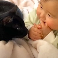 『まさかこんなに仲良くなるなんて…』猫と赤ちゃんが一緒に暮らした結果→『本当の兄弟のような姿』に「素敵な関係」「優しいお兄ちゃん」