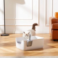 ニオイが気になるこの季節…『猫トイレがクサくなる』困った原因3選と対処法