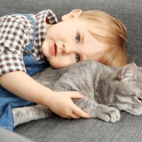 うちの愛猫は『あまり怒らない』けど大丈夫？温厚な性格の猫が秘めている心理3選