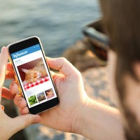 「猫のインフルエンサー」世界のトップ5は？愛猫家必見のコンテンツ満載