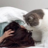 毎朝飼い主さんを起こしに来る猫→想像以上に激しい『起こし方』に爆笑の声続出「起きるしかないｗ」「真剣に起こしにかかってるｗ」と23万表示