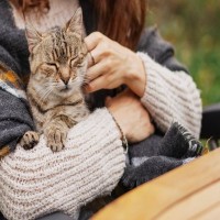 愛猫が『余命宣告』を受けたら…飼い主さんができる4つのこと　残りの時間を有意義に過ごすためのヒント