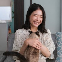 猫を『来客』に慣れさせるための5つのステップ　お客さんにも協力をしてもらうなど、工夫を凝らして
