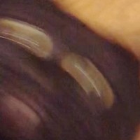 「もうネコではない何か」黒猫のことを撮影したら…別の生物にしか見えない『衝撃の姿』が104万表示「異生物」「ギリギリ化けてておもろいｗ」