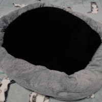 『丸くなって寝ている黒猫』を見てみたら…穴があいているようにしか見えない『衝撃の光景』が100万表示「深淵だ」「ブラックホール」