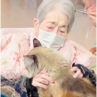 老人ホームに入り、猫と離れ離れになったおばあちゃん→数年ぶりに『再会』したら…泣ける光景が68万再生「涙が止まらん」「感動しました」