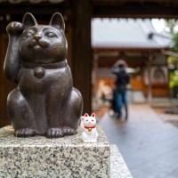 世界中で崇拝されている『猫の神様』3選　人々を救う存在として猫が崇められた理由とは？