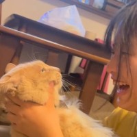 「言えてるｗｗ」お姉ちゃんが猫に『アンパンマン』を教えていたら…完璧に発音する『まさかすぎる瞬間』が37万再生「すげー」「通じたｗ」