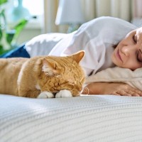 猫が『一緒に寝たい』と思う人に共通する特徴4選　添い寝してもらうためにできることはある？