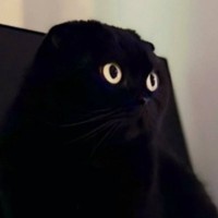 モニターの前にいる『黒猫』を見てみたら…画面から飛び出ているように見える『驚きの瞬間』が56万表示「トリックアートみたい」「3Dｗ」