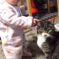 猫に優しく見守られながら育った赤ちゃん…涙あふれる『４年後の光景』に反響続々「すべてを許してて尊い」「優しさは受け継がれるんだね」