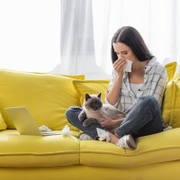 もしも突然『猫アレルギー』になったら？猫と暮らし続けるための対策6選