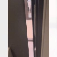 『一瞬お水を買いに行っただけなのに…』家のドアを開けると？→猫の"まさかの姿"が361万再生「吹き出すところだった」「圧が凄いｗ」