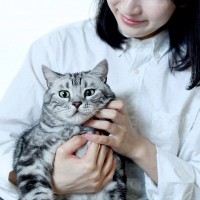 主、引くわー…愛猫が『飼い主に冷めてしまう』4つの原因　猫からの信頼を回復するには